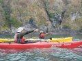 marine species birding in taboga