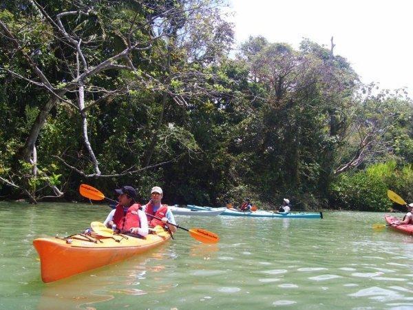 paddle Panama Canal | Gatun Lake | nature | kayaking