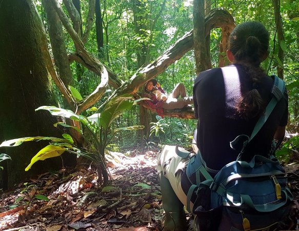 barro colorado trails