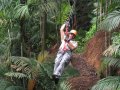 tree trek gamboa