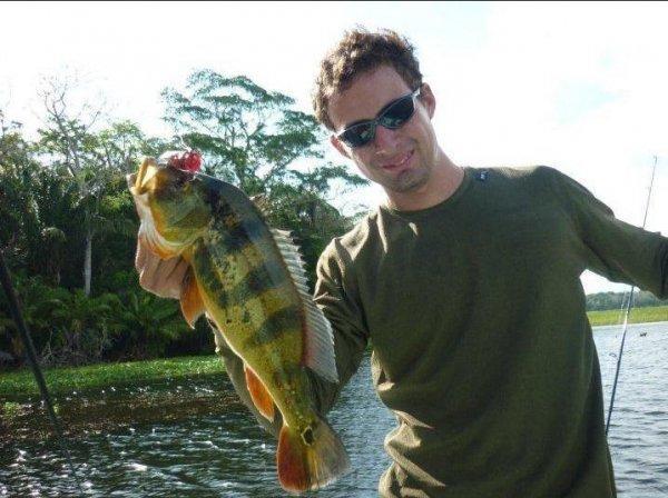 Peacock bass fishing in panama canal 7