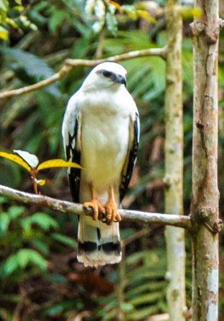 13062180 1019901008117750 3954124776580123349 n