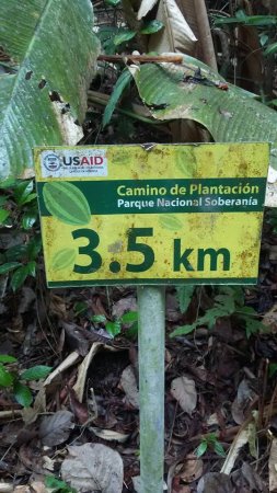 13062483 1019912461449938 8522427837469133316 n