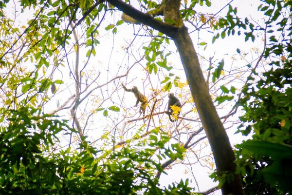 13082719 1019901828117668 5076512384353501894 n