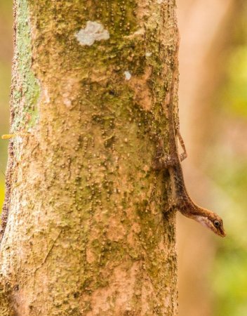 13083156 1019901291451055 211682520927118585 n