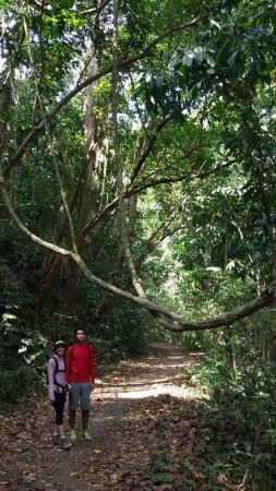 13087593 1019912924783225 1671901896422491852 n