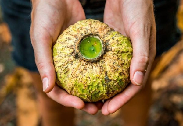 13094122 1019901678117683 4118926324743629139 n