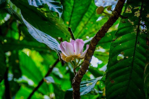 13094354 1019901671451017 6428391033164644249 n