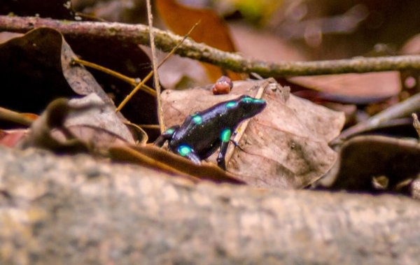 13095793 1019902081450976 2058510704902199828 n