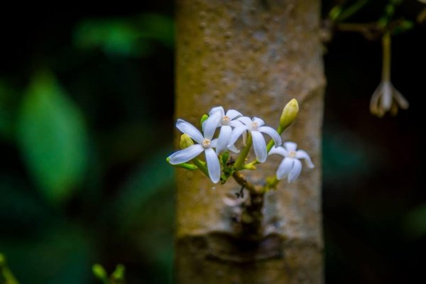 13103390 1019901958117655 4246940827104184949 n