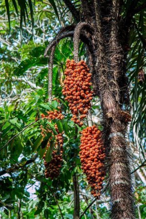 13122992 1019901441451040 6839220090824758087 o