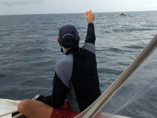 JR cazando ballena con spot