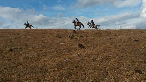 Panama Escapade with Jana 408