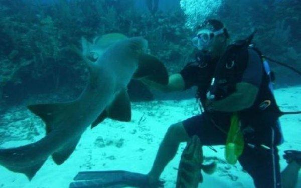 scuba diving in hol chan