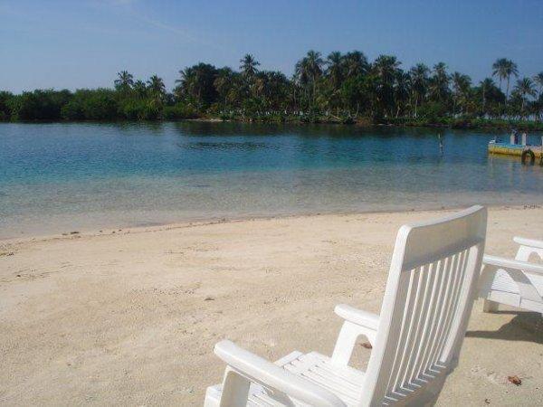 1929197 90893609912 6712385 n