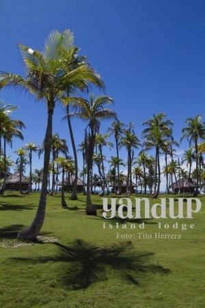 249595 10150296666874913 5196471 n