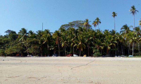 view from the beach