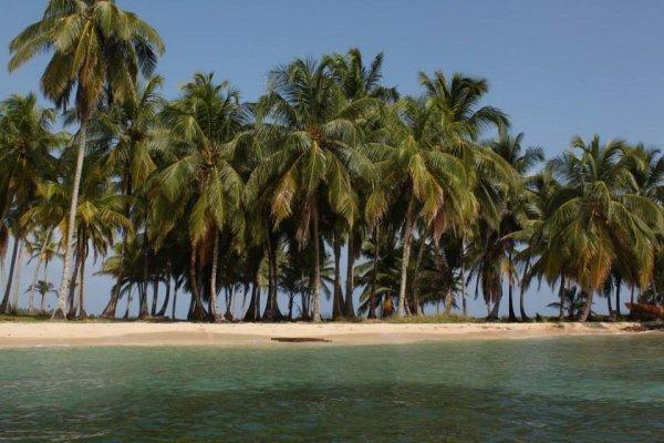isla de palmeras