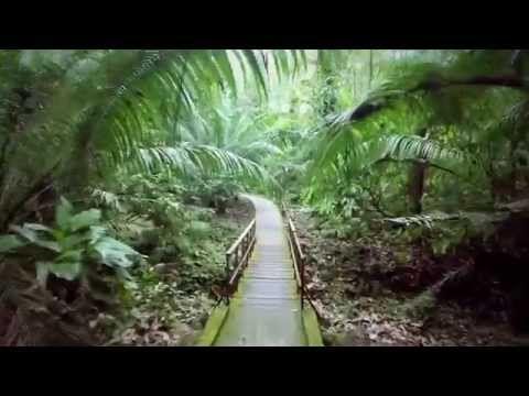 Parque Nacional Soberania Panama