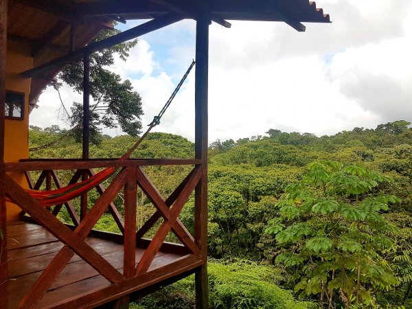 burbayar jungle birding