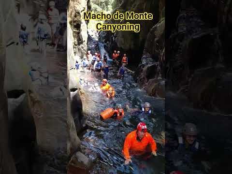macho de monte canyoning in
