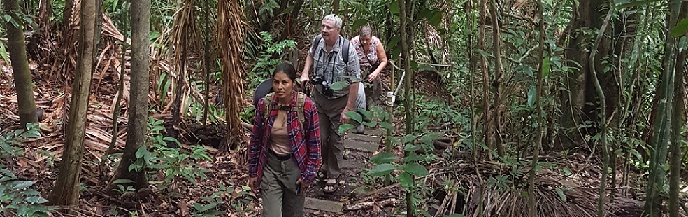 Image is not available