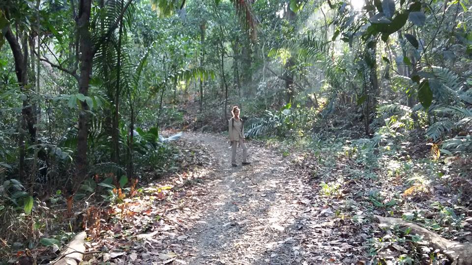 Soberania National Park Wildlife