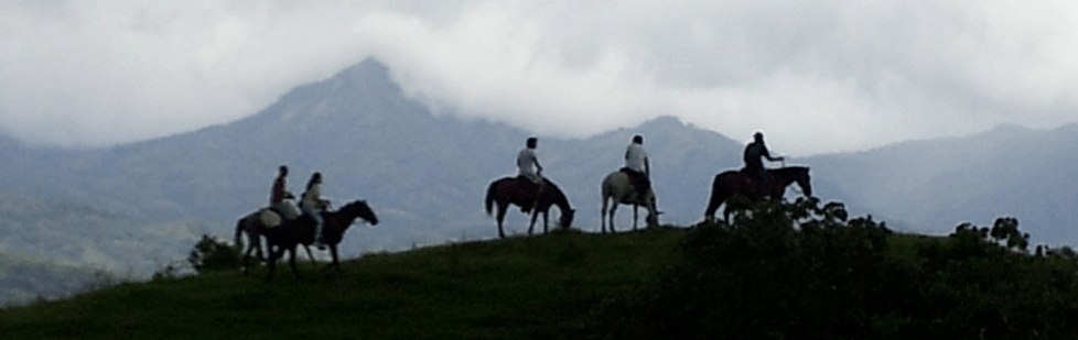 Image is not available