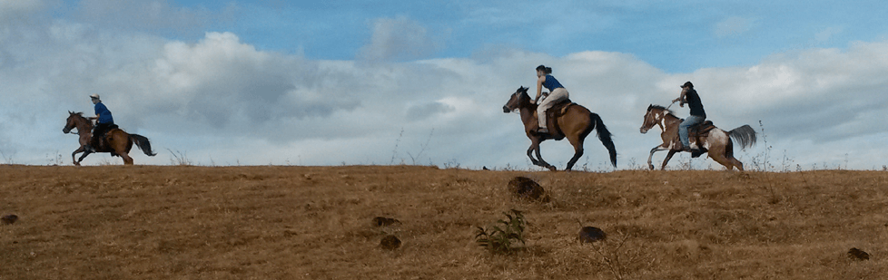 Image is not available