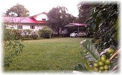 vacation in boquete outdoor adventures boquete panama rentals hotels guest house